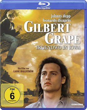 不一样的天空What's Eating Gilbert Grape