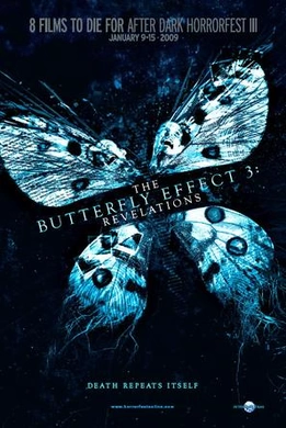 蝴蝶效应3：启示The Butterfly Effect 3