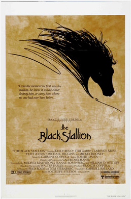 黑神驹The Black Stallion