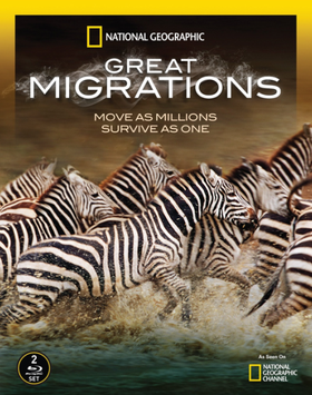 国家地理：大迁徙National Geographic: Great Migrations