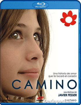 卡米诺Camino