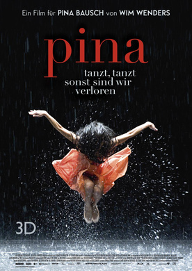 皮娜Pina