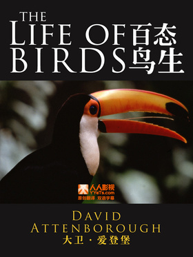 野鸟世界The Life of Birds