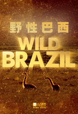 狂野巴西Wild Brazil