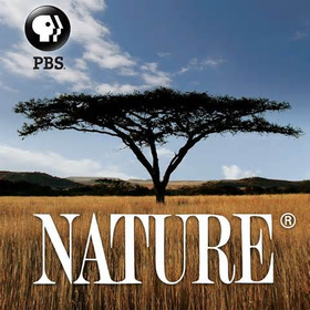 PBS 自然PBS Nature