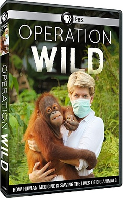 荒野救援Operation Wild