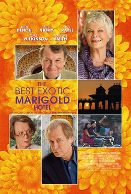 涉外大酒店The Best Exotic Marigold Hotel