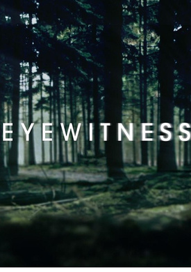 目击证人Eyewitness 