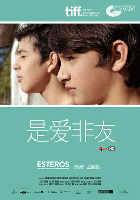 是爱非友 Esteros