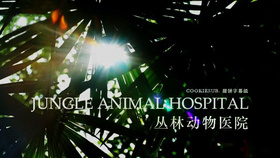 BBC自然世界 丛林动物医院BBC Natural World Jungle Animal Hospital