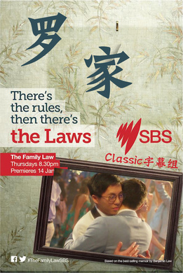 罗家The Family Law