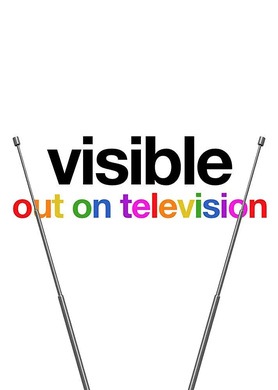 从暗到明：电视与彩虹史Visible: Out on Television