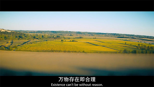 At.Eternitys.Gate.永恒之门.2018.中英字幕.BDrip.720P-自由译者联盟_20200304202440.png