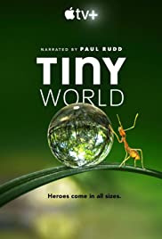 小小世界Tiny World