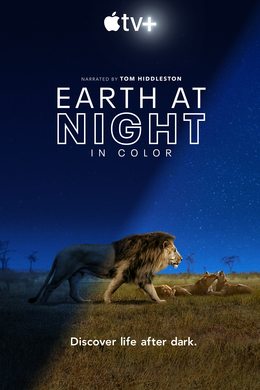 夜色中的地球Earth at Night in Color