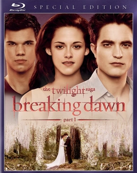 暮光之城：破晓(上)The Twilight Saga Breaking Dawn Part 1