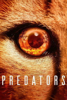 食肉动物Predators