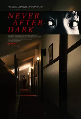 入夜不再Never After Dark